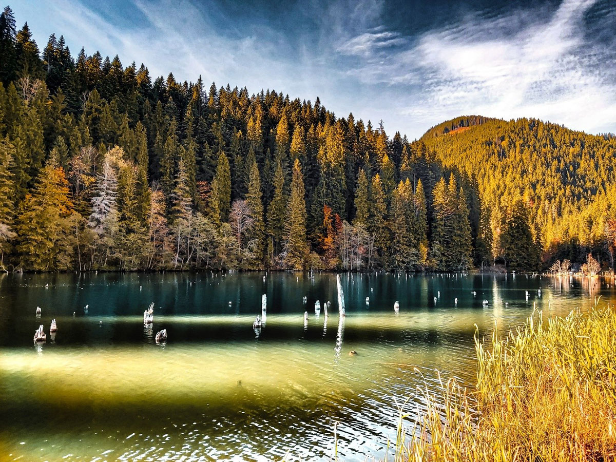 meteofor-prognoza-meteo-pentru-mar-i-20-august-2024