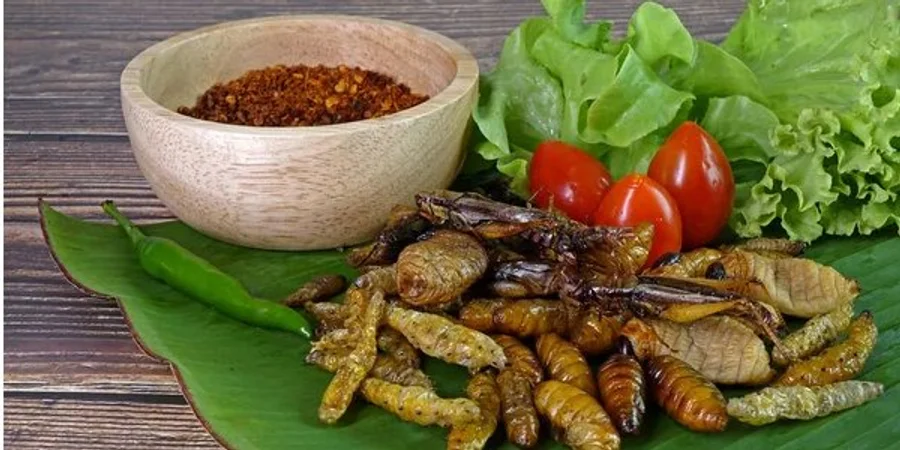 METEOFOR: Cererea globală de insecte comestibile va crește semnificativ ...